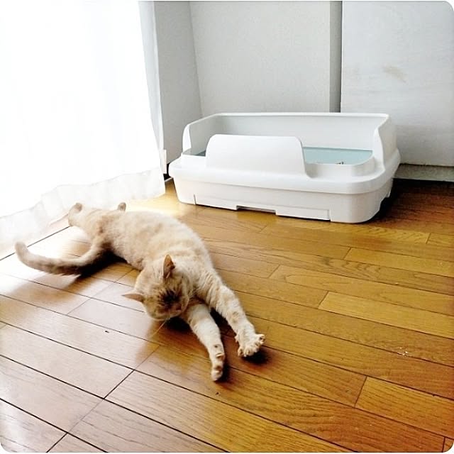 heart.emiemi57.whiteさんの実例写真
