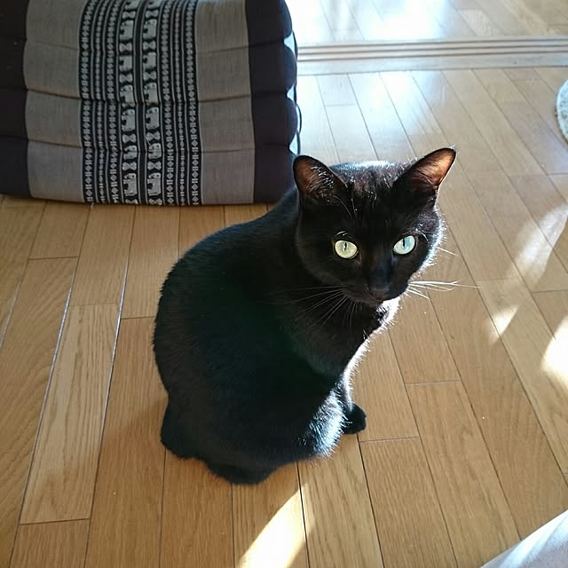 naru2014さんの実例写真