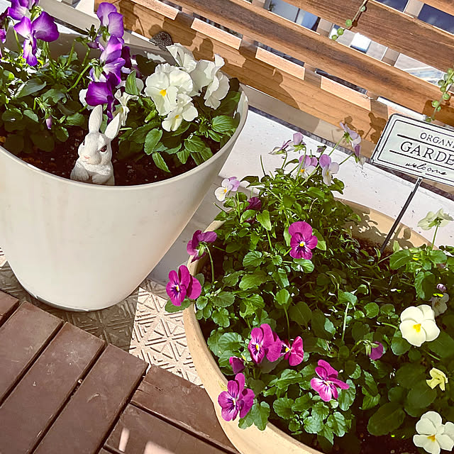 2.11maririnさんの部屋