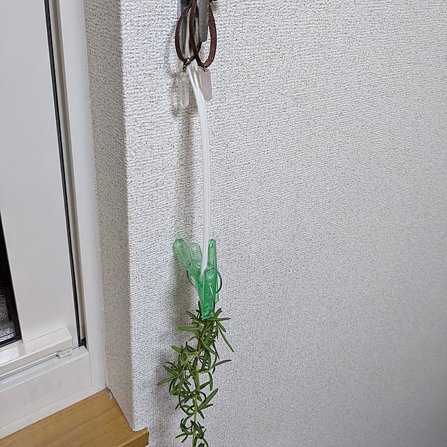 asaさんの実例写真