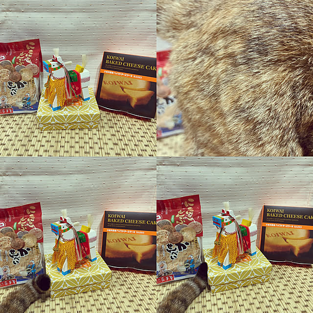 hansho.sさんの実例写真