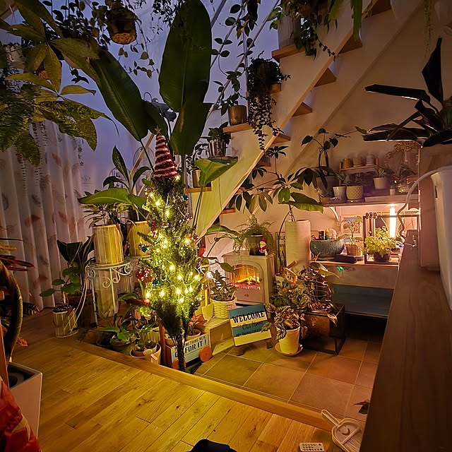 nonbiri_house_さんの実例写真
