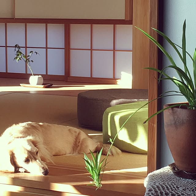 yukariさんの実例写真