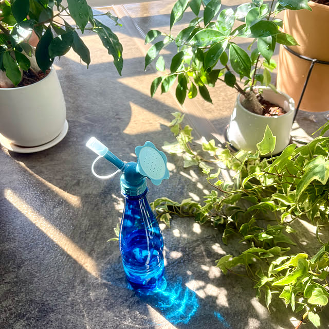 up0524さんの部屋