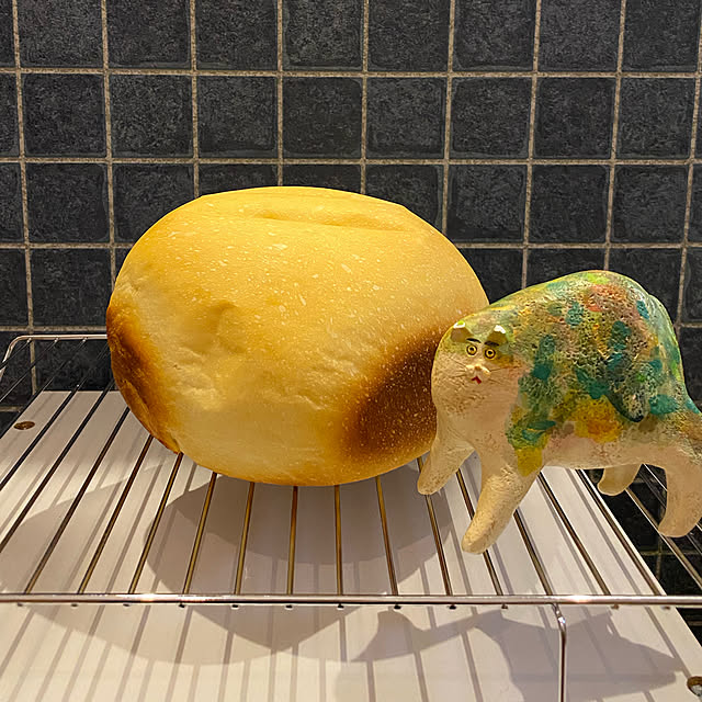 uninekoさんの実例写真