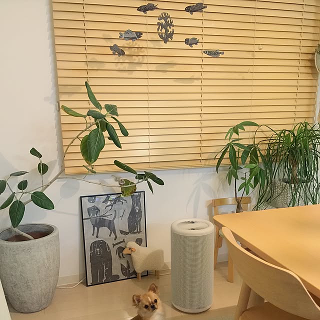 haruhinaさんの実例写真