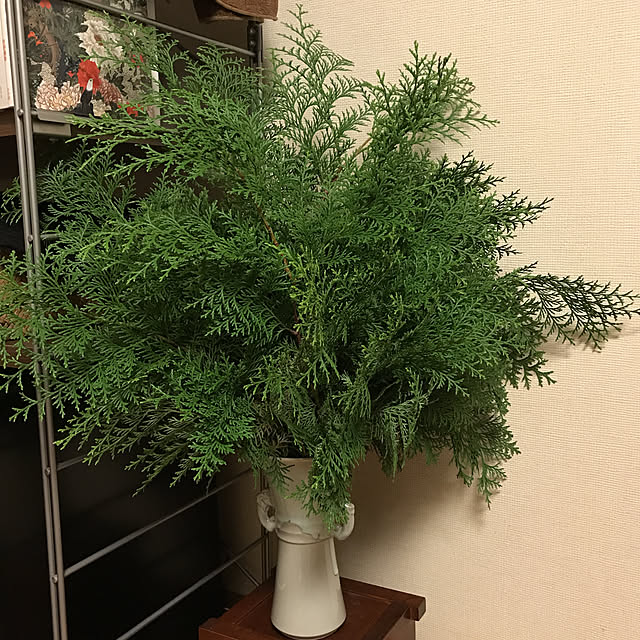 yyuuffuuさんの実例写真