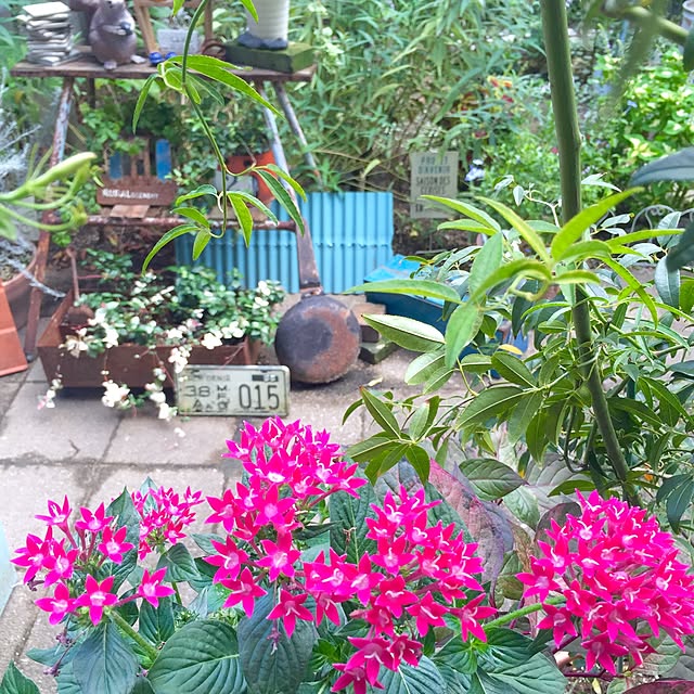 bibianさんの実例写真