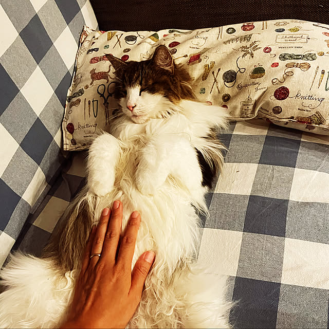 yさんの実例写真