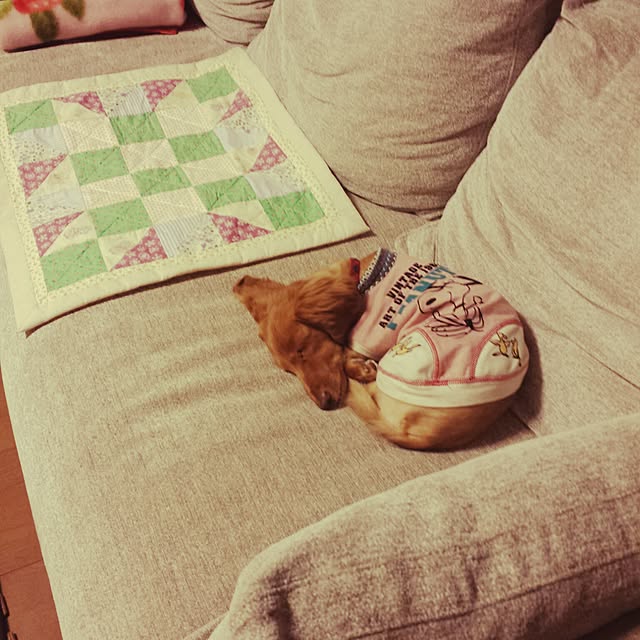 sumireさんの実例写真