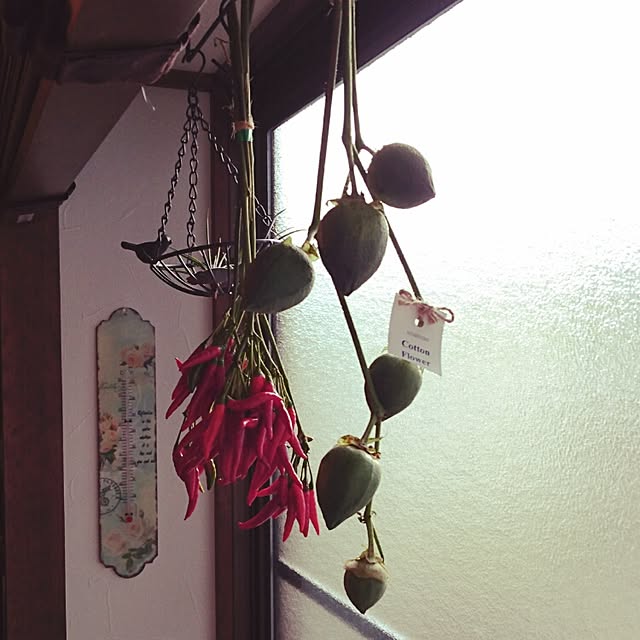 maki_noさんの実例写真