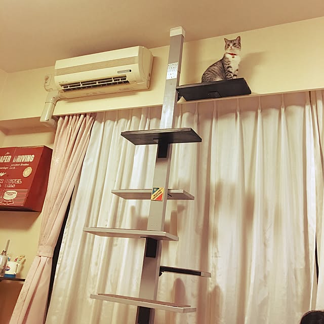 Shojiさんの実例写真