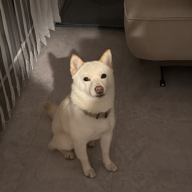 KYokoさんの実例写真