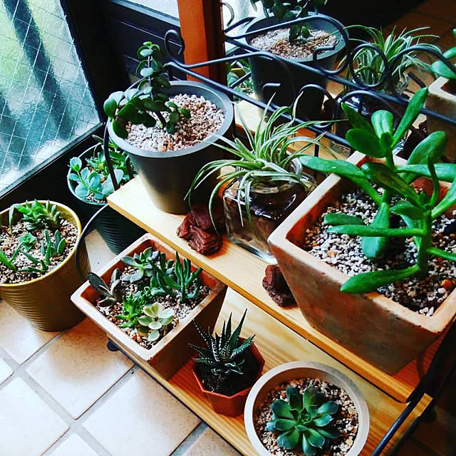 legoacoriaさんの実例写真