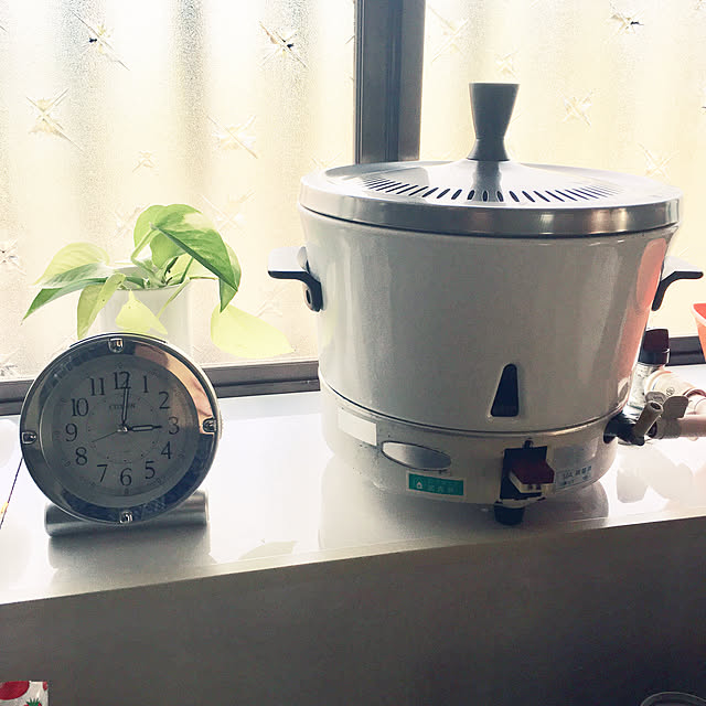 pisaさんの実例写真