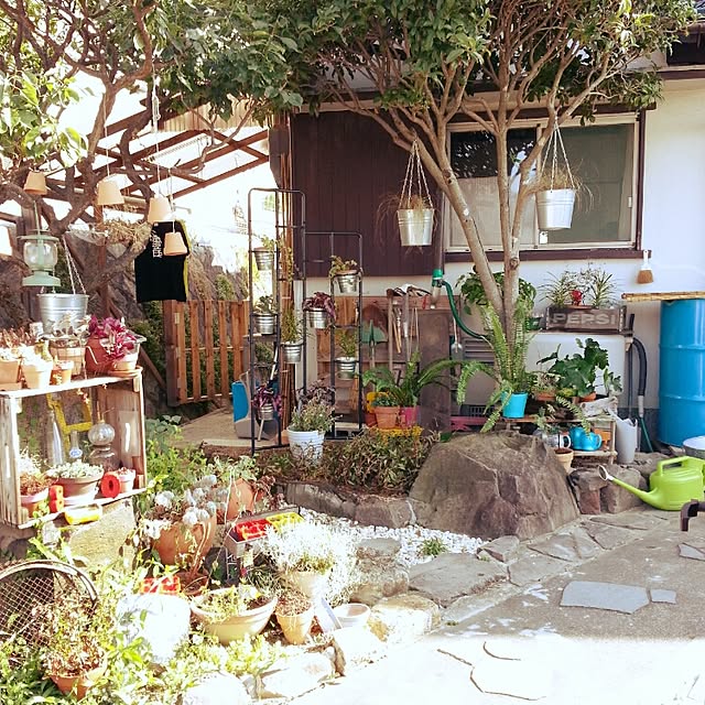 shihosamaさんの実例写真