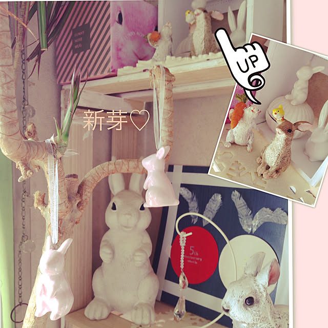 yokomokoさんの実例写真