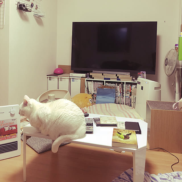 Mikikoさんの実例写真