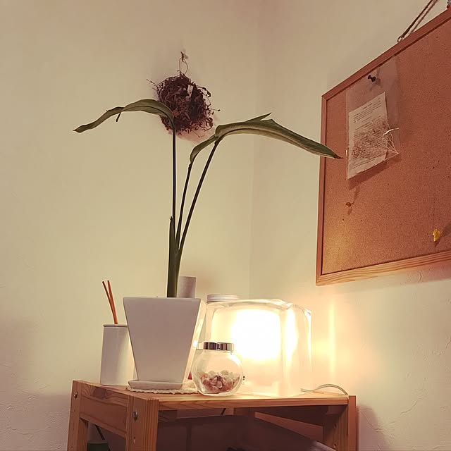 kko1208さんの実例写真