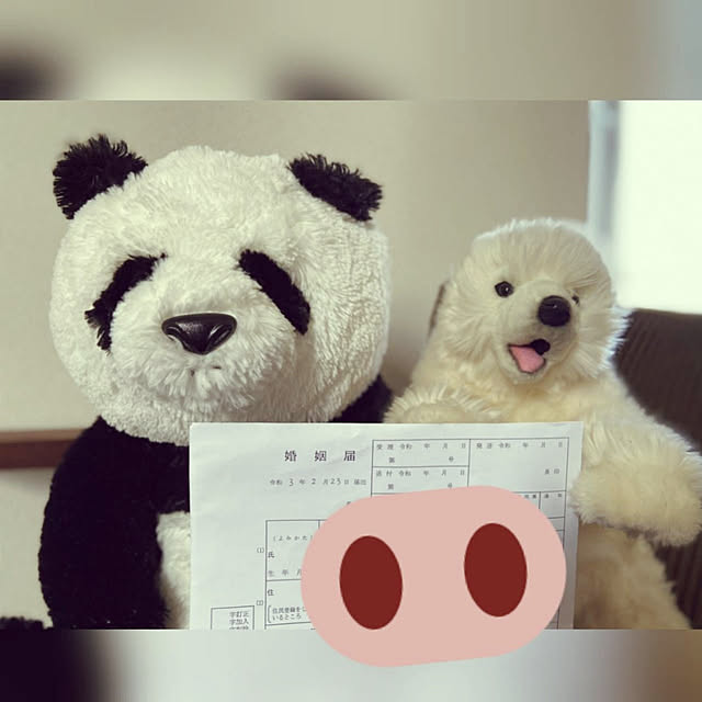 sinsinさんの実例写真