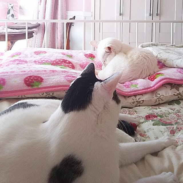 sakuraさんの実例写真
