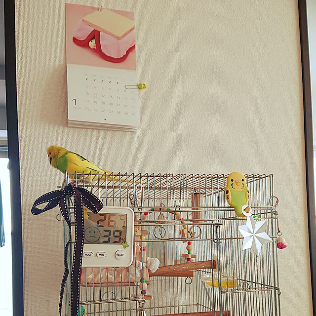 kyonさんの実例写真