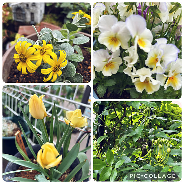 CoCo0617さんの部屋