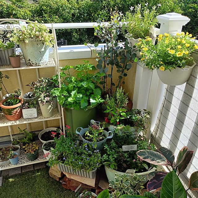 annaさんの部屋