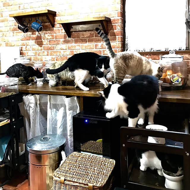 butachanさんの実例写真