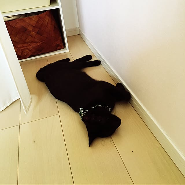 Kaoさんの実例写真