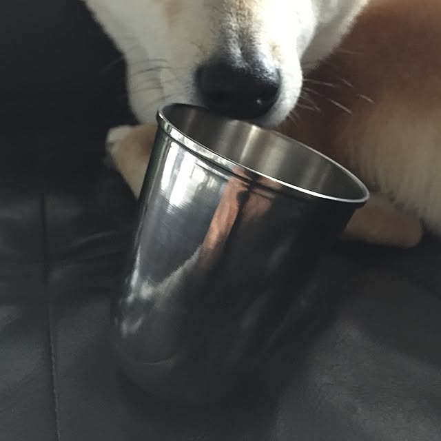 Makikoさんの実例写真