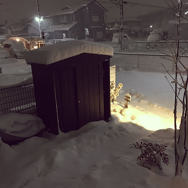 akoさんの実例写真