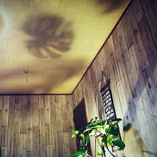 norikuuさんの実例写真