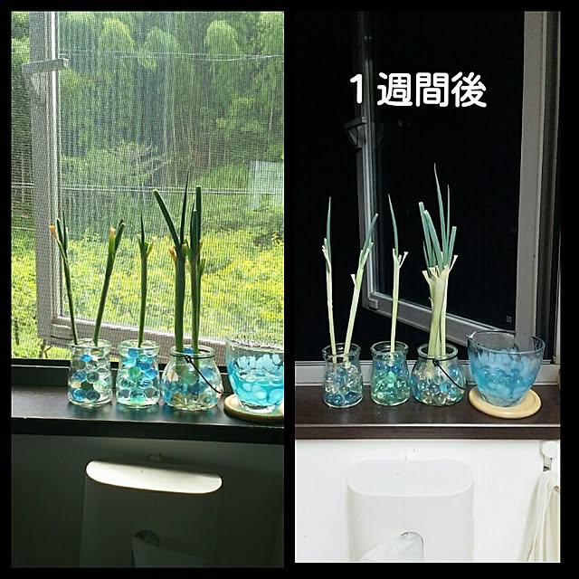 bonkiyoさんの実例写真