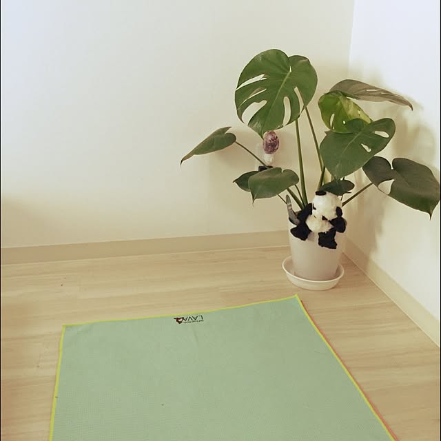 maayaaBOCさんの実例写真