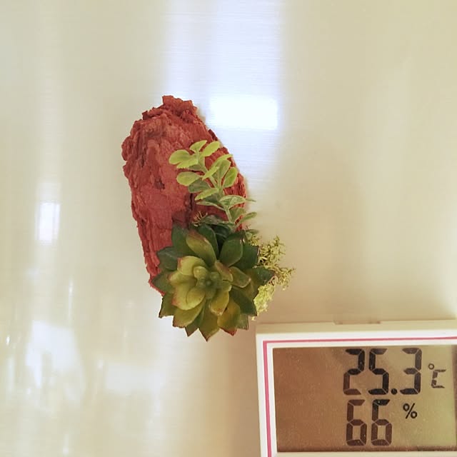 Ryokoさんの実例写真