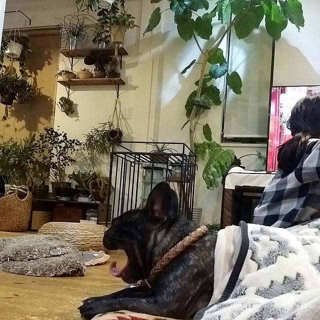 kuuuuさんの実例写真