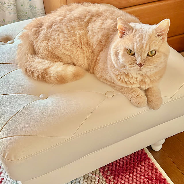 naokoさんの部屋
