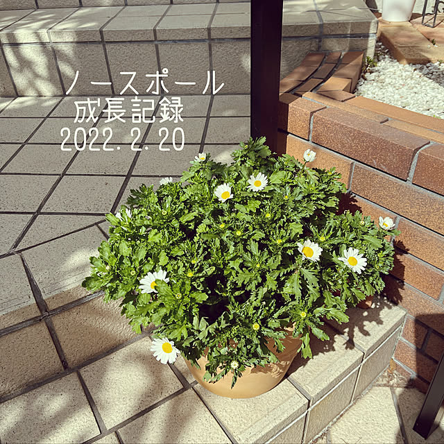 chikaさんの実例写真