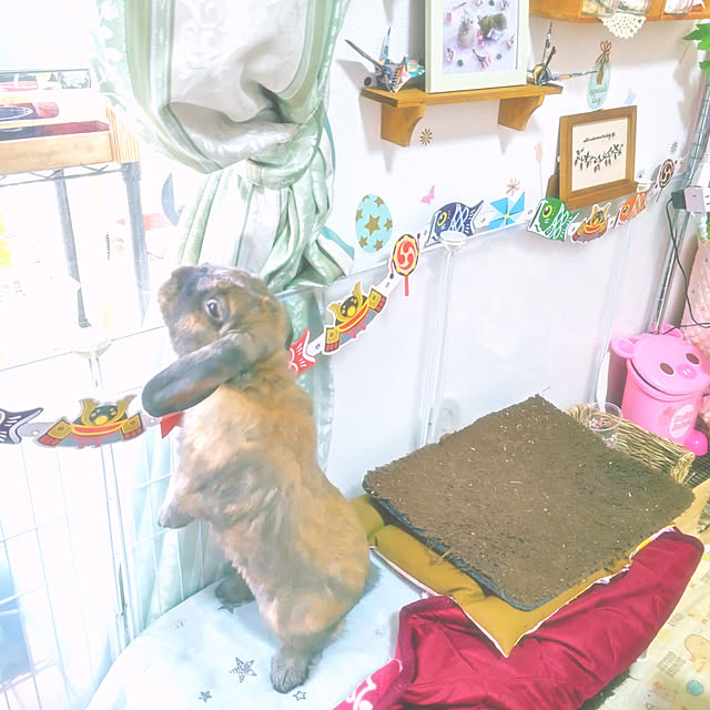mariaさんの実例写真