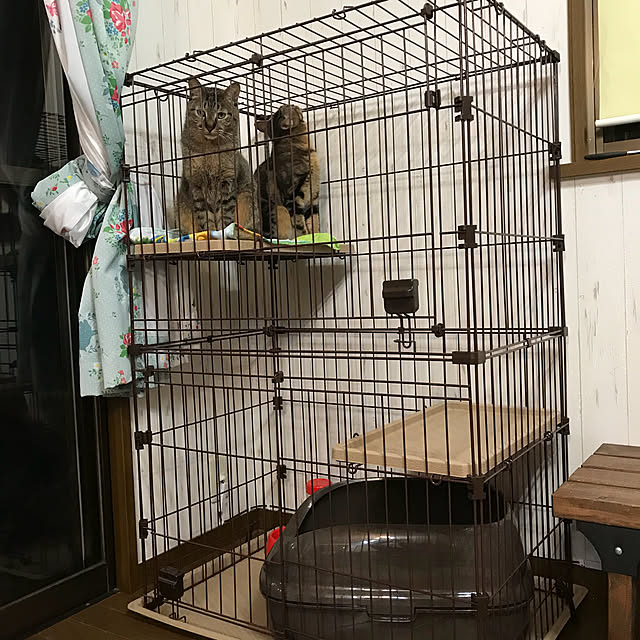 pepeさんの実例写真