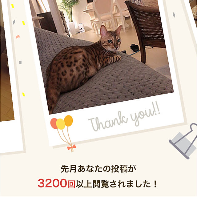 nene6さんの実例写真