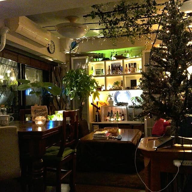 部屋全体/観葉植物/ダイソー/セリア/NO GREEN NO LIFE...などのインテリア実例 - 2016-10-27 22:36:24