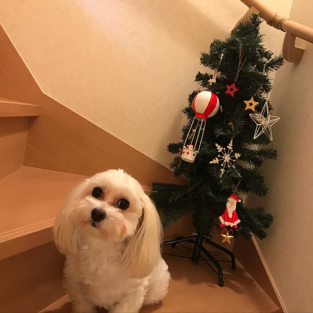 no_gggiさんの実例写真