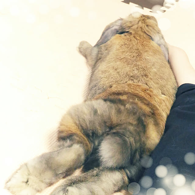 littlemomさんの実例写真