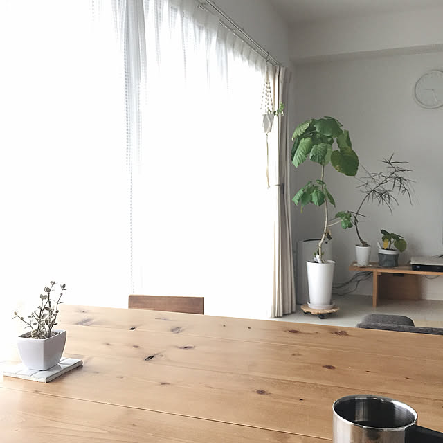 mayuringoさんの実例写真