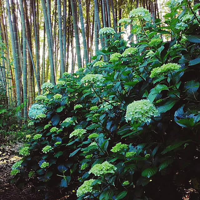 mairin318さんの実例写真