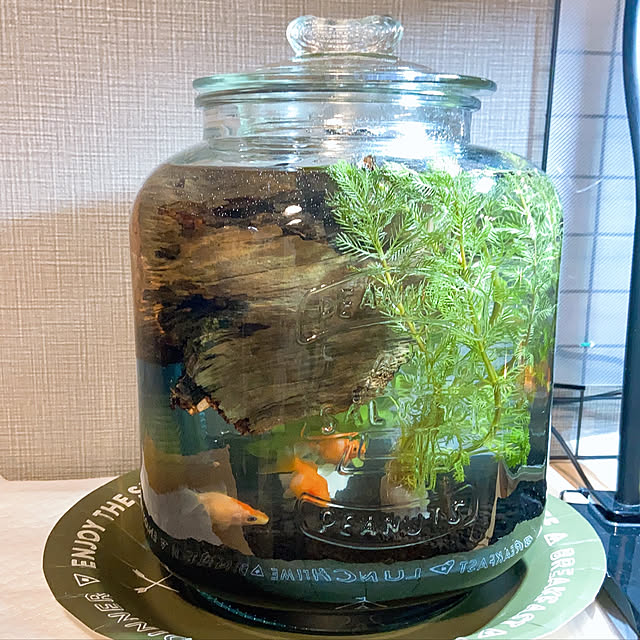 akirinsさんの実例写真