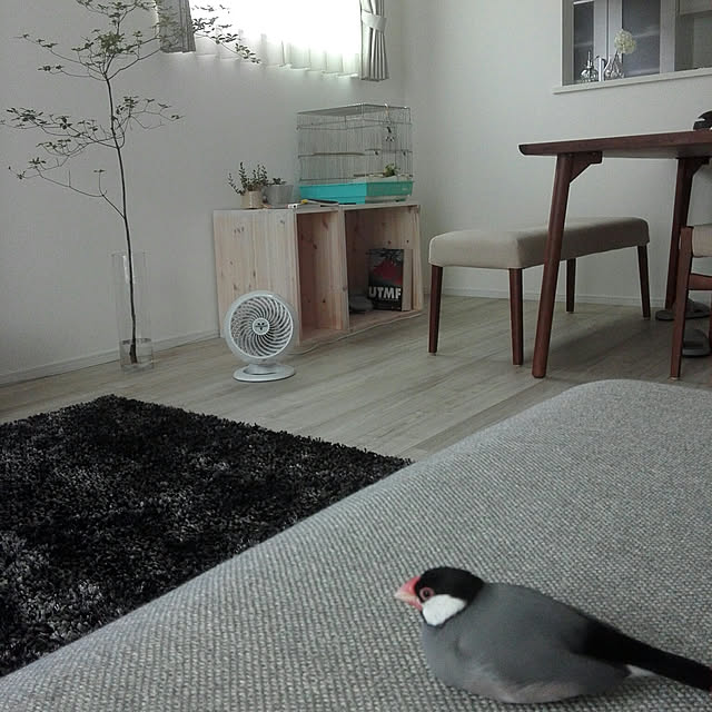 pitaさんの実例写真
