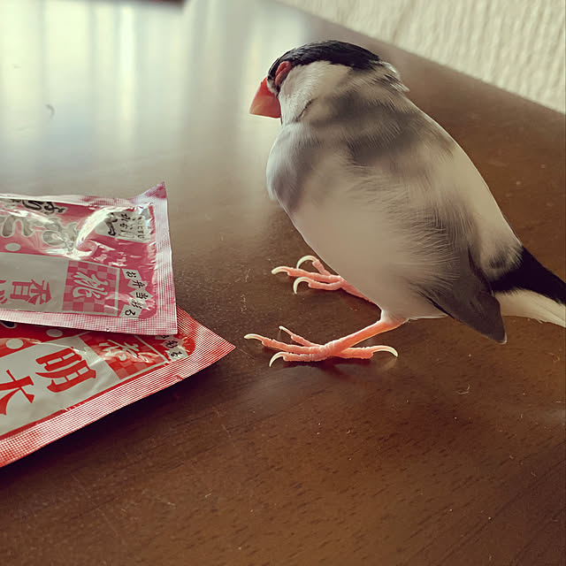 Chhhiさんの実例写真